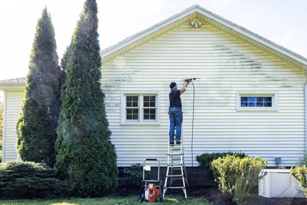 Best Window Cleaning in Koontz Lake, IN